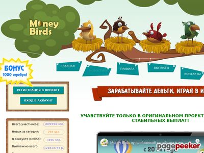 moneybirds.org